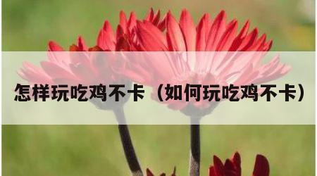 怎样玩吃鸡不卡（如何玩吃鸡不卡）