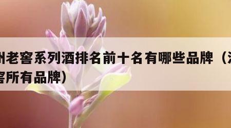 泸州老窖系列酒排名前十名有哪些品牌（泸州老窖所有品牌）