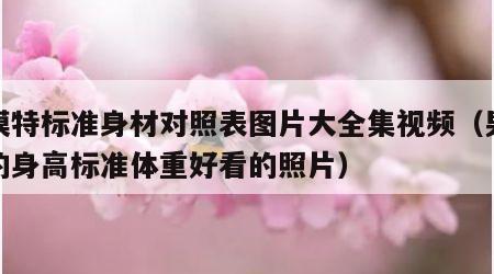 男模特标准身材对照表图片大全集视频（男模特的身高标准体重好看的照片）