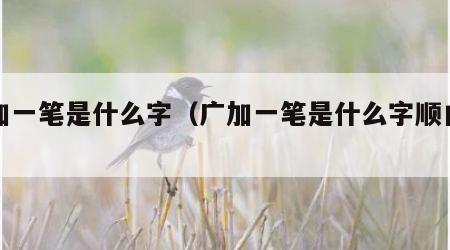 广加一笔是什么字（广加一笔是什么字顺口溜）