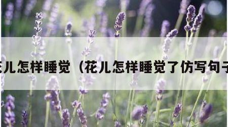 花儿怎样睡觉（花儿怎样睡觉了仿写句子）