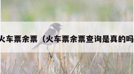 火车票余票（火车票余票查询是真的吗）