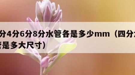2分4分6分8分水管各是多少mm（四分水管是多大尺寸）