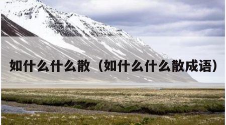 如什么什么散（如什么什么散成语）