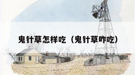 鬼针草怎样吃（鬼针草咋吃）