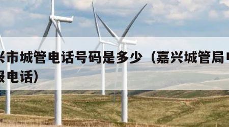 嘉兴市城管电话号码是多少（嘉兴城管局电话举报电话）