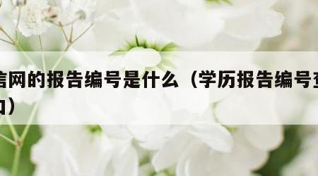 学信网的报告编号是什么（学历报告编号查询入口）