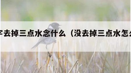 没字去掉三点水念什么（没去掉三点水怎么读）