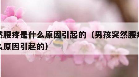 突然腰疼是什么原因引起的（男孩突然腰疼是什么原因引起的）