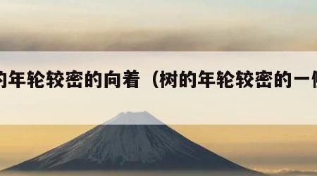 树的年轮较密的向着（树的年轮较密的一侧向着）