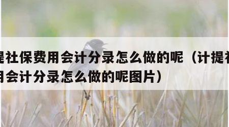 计提社保费用会计分录怎么做的呢（计提社保费用会计分录怎么做的呢图片）