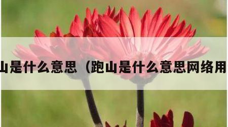 跑山是什么意思（跑山是什么意思网络用语）
