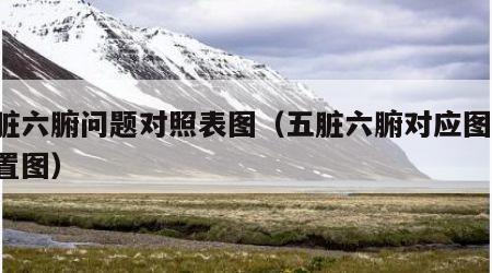 五脏六腑问题对照表图（五脏六腑对应图片 位置图）
