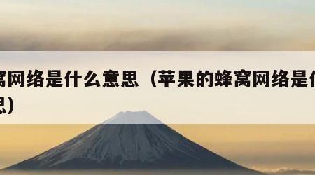 蜂窝网络是什么意思（苹果的蜂窝网络是什么意思）
