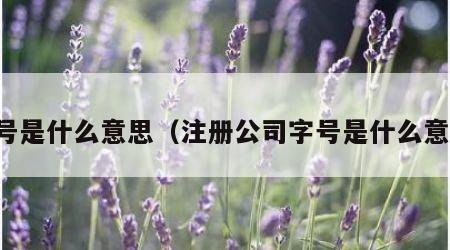 字号是什么意思（注册公司字号是什么意思）