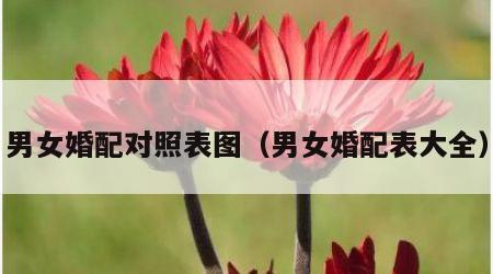 男女婚配对照表图（男女婚配表大全）