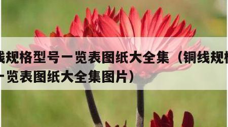 铜线规格型号一览表图纸大全集（铜线规格型号一览表图纸大全集图片）