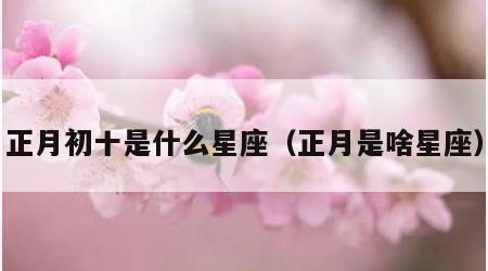 正月初十是什么星座（正月是啥星座）