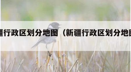 新疆行政区划分地图（新疆行政区划分地图高清）