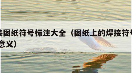 焊接图纸符号标注大全（图纸上的焊接符号大全 意义）