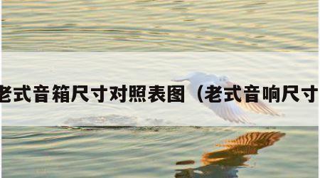 老式音箱尺寸对照表图（老式音响尺寸）