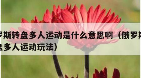 俄罗斯转盘多人运动是什么意思啊（俄罗斯大转盘多人运动玩法）