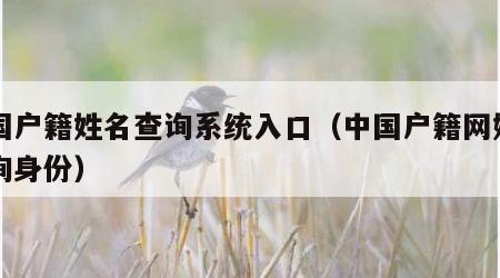 全国户籍姓名查询系统入口（中国户籍网姓名查询身份）