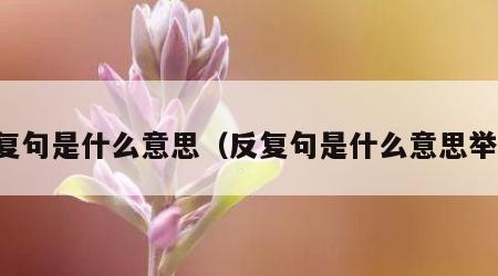反复句是什么意思（反复句是什么意思举例）