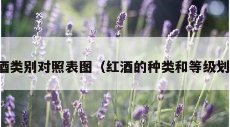 红酒类别对照表图（红酒的种类和等级划分）