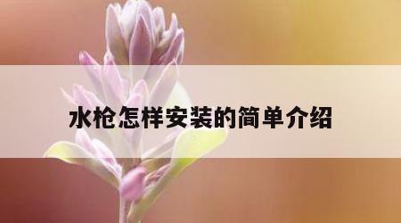 水枪怎样安装的简单介绍