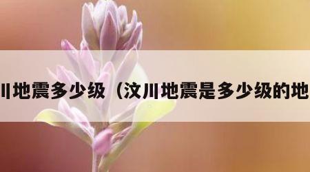 汶川地震多少级（汶川地震是多少级的地震）