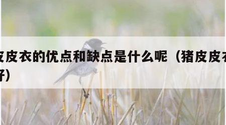 猪皮皮衣的优点和缺点是什么呢（猪皮皮衣好不好）