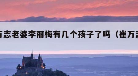 崔万志老婆李丽梅有几个孩子了吗（崔万志婚姻）