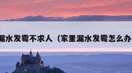 漏水发霉不求人（家里漏水发霉怎么办）