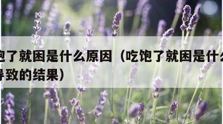 吃饱了就困是什么原因（吃饱了就困是什么原因导致的结果）