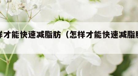 怎样才能快速减脂肪（怎样才能快速减脂肪肝）