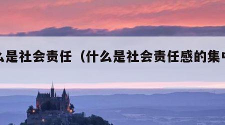 什么是社会责任（什么是社会责任感的集中表现）
