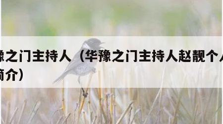 华豫之门主持人（华豫之门主持人赵靓个人资料简介）