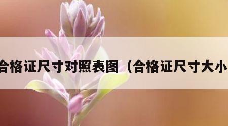合格证尺寸对照表图（合格证尺寸大小）