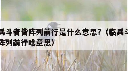 临兵斗者皆阵列前行是什么意思?（临兵斗者皆阵列前行啥意思）