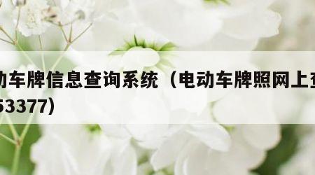 电动车牌信息查询系统（电动车牌照网上查询4553377）