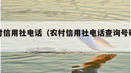 农村信用社电话（农村信用社电话查询号码多少）