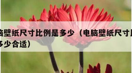 电脑壁纸尺寸比例是多少（电脑壁纸尺寸比例是多少合适）