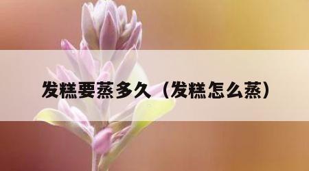 发糕要蒸多久（发糕怎么蒸）