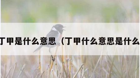 丁甲是什么意思（丁甲什么意思是什么）