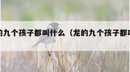 龙的九个孩子都叫什么（龙的九个孩子都叫啥）