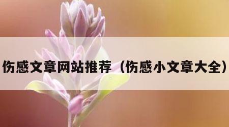 伤感文章网站推荐（伤感小文章大全）