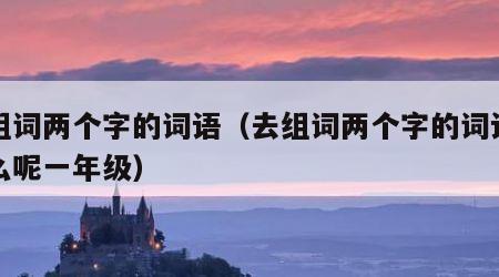 去组词两个字的词语（去组词两个字的词语有什么呢一年级）