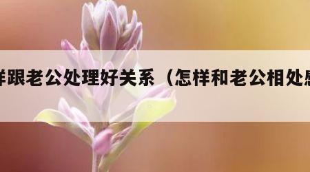 怎样跟老公处理好关系（怎样和老公相处感情好）