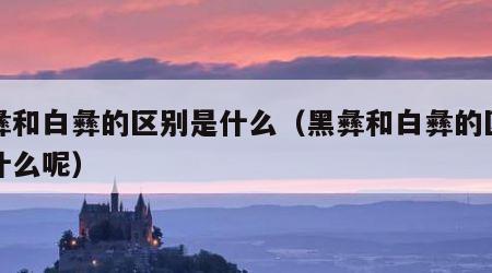 黑彝和白彝的区别是什么（黑彝和白彝的区别是什么呢）